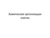 Химическая организация клетки