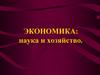 Экономика: наука и хозяйство