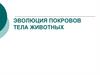 Эволюция покровов тела животных
