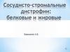 Сосудисто-стромальные дистрофии: белковые и жировые