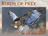 Birds of prey