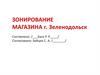 Зонирование магазина г. Зеленодольск