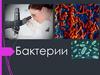 Бактерии. Открытие бактерий