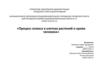 Процесс осмоса в клетках растений и крови человека