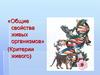Общие свойства живых организмов (критерии живого)