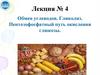 Обмен углеводов. Гликолиз. Пентозофосфатный путь окисления глюкозы. Лекция № 4