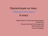 Фразеологизмы. Предложения.  6 класс