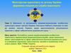 Вивчення та дотримання водіями-власниками особистого транспорту вимог законів України. Тема 3
