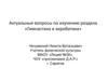 Актуальные вопросы по изучению раздела «Гимнастика и акробатика»