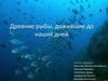 Древние рыбы, дожившие до наших дней