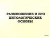 Размножение и его цитологические основы