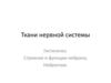 Ткани нервной системы