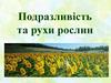 Подразливість та рухи рослин