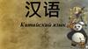 Китайский язык
