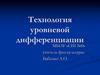 Технология уровневой дифференциации. Образовательная технология