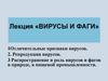 Вирусы и фаги