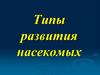 Типы развития насекомых