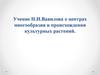 Учение Н.И. Вавилова о центрах многообразия и происхождения культурных растений