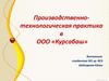 Производственно-технологическая практика в ООО «Курсабаш»
