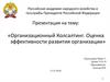 Организационный колсалтинг. Оценка эффективности развития организации