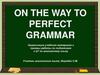 On the way to perfect grammar. Организация учебного материала и приемы работы по подготовке к ЦТ по английскому языку