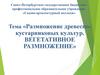 Размножение древесно-кустарниковых культур. Вегетативное размножение. Тема 3.2