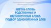Корень слова, родственные и однокоренные слова, подбор однокоренных слов