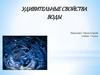 Удивительные свойства воды