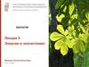 Энергия в экосистемах. Лекция 5