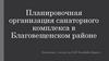 Планировочная организация санаторного комплекса в Благовещенском районе