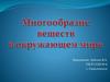 Многообразие веществ в окружающем мире