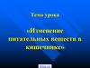 Изменение питательных веществ в кишечнике