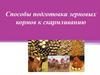 Способы подготовки зерновых кормов к скармливанию
