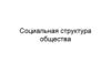 Социальная структура общества