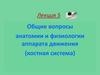 Общие вопросы анатомии и физиологии аппарата движения (костная система). Лекция 5