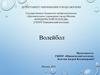Волейбол. История возникновения волейбола