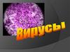 Понятие о вирусах