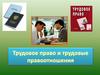 Трудовые правоотношения Конституции РФ