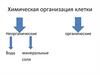 Химическая организация клетки. Содержание химических веществ в клетке