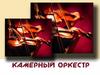Камерный оркестр