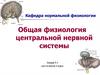 Общая физиология центральной нервной системы. Лекция №1