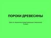 Пороки древесины. Урок по технологии (индустриальные технологии). 5 класс