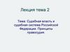 Судебная власть и судебная система Российской Федерации. Принципы правосудия. Тема 2