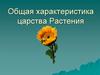 Общая характеристика царства Растения