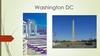 Washington DC