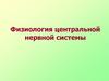 Физиология центральной нервной системы