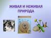 Живая и неживая природа