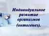 Индивидуальное развитие организмов (онтогенез)
