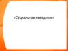 Социальное поведение. Субъекты социального поведения