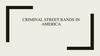Criminal street bands in America